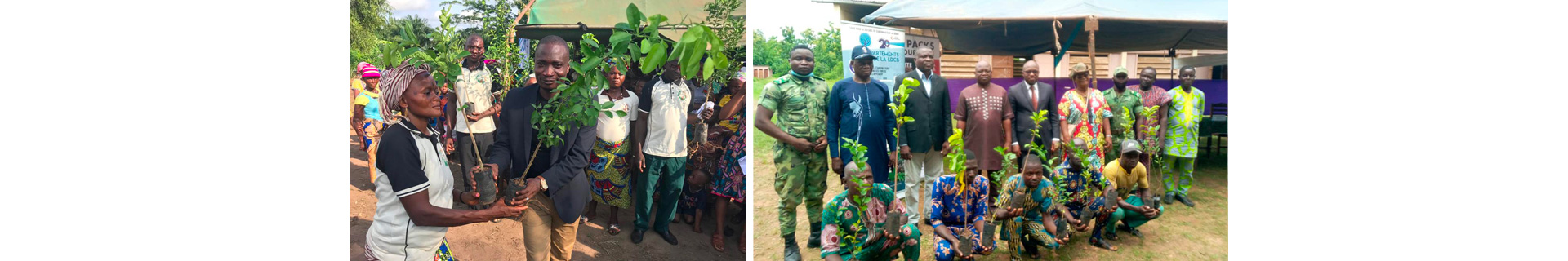 BOA-BENIN encourage les potagers domestiques