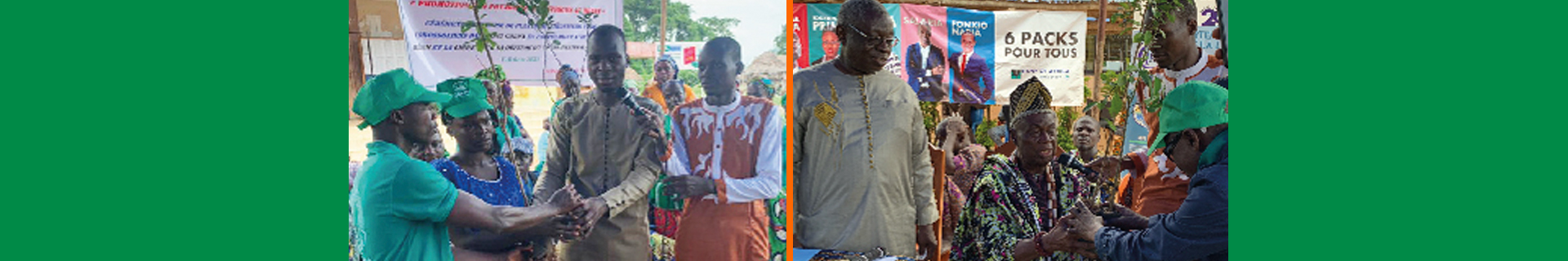 Promotion des potagers domestiques au Bénin.